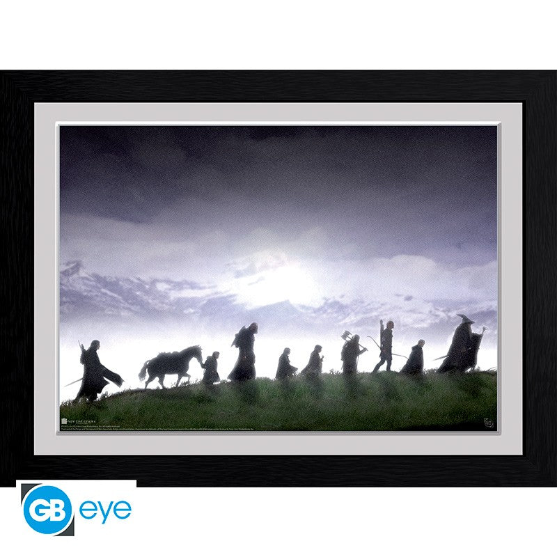 LORD OF THE RINGS Framed print Fellowship